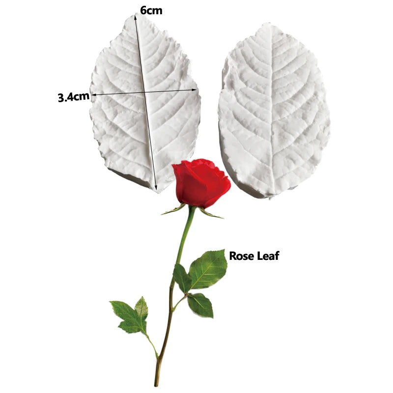 5 Styles Rose Leaf Veiner Mold Set